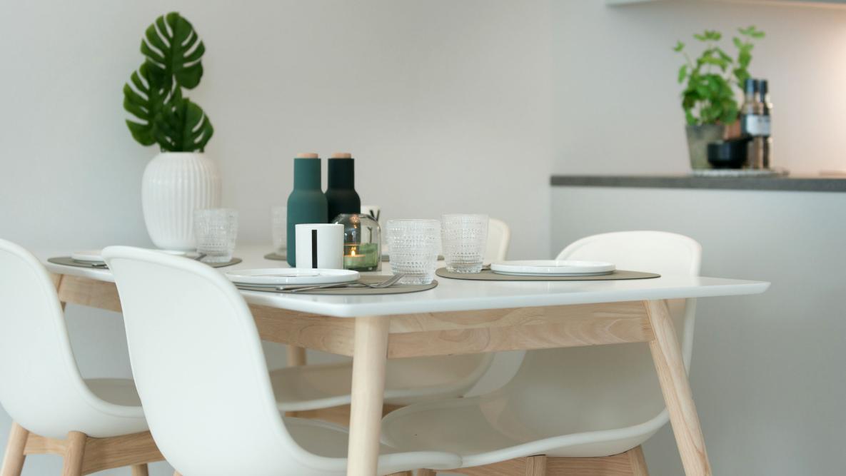 Lys og moderne spisegruppe med grønn plante på spisebordet