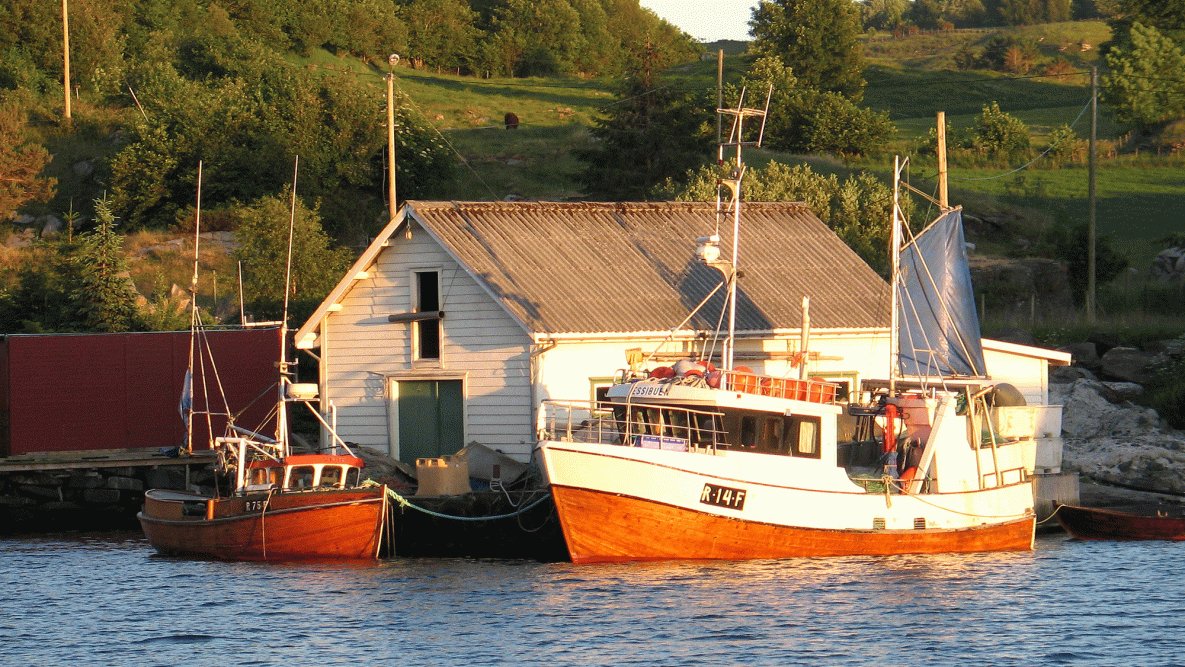 Fiskebåt i Steinnesvåg