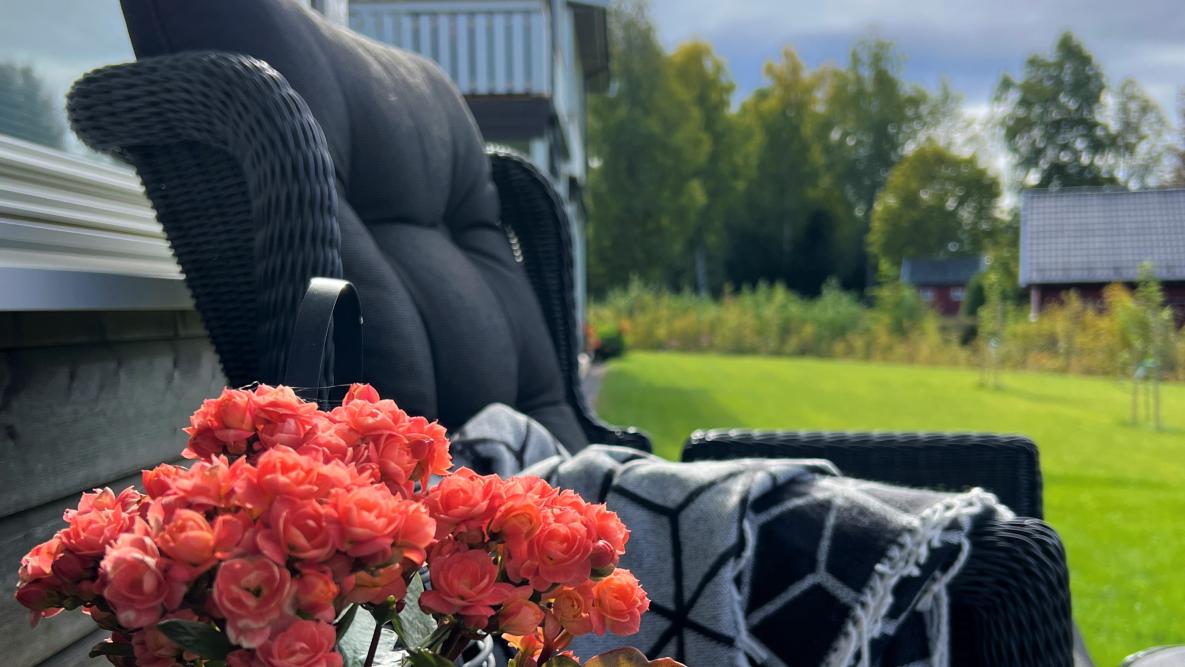 Bilde av stol på terrasse med blomst ved siden av.