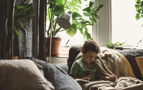 Grønne planter i vinduet og liten gutt som leser bok i sofaen